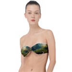 Mountains Trees Forest Classic Bandeau Bikini Top 