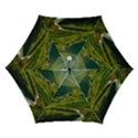 Automatic Folding Umbrella with Case (Small) 