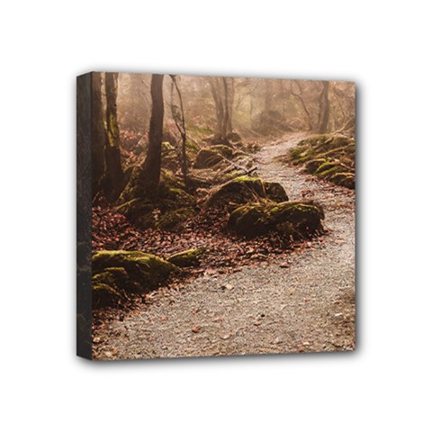Path Trees Forest Fantasy Mini Canvas 4  x 4  (Stretched) from ArtsNow.com