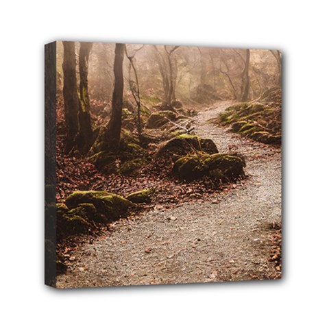 Path Trees Forest Fantasy Mini Canvas 6  x 6  (Stretched) from ArtsNow.com