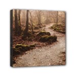 Path Trees Forest Fantasy Mini Canvas 6  x 6  (Stretched)
