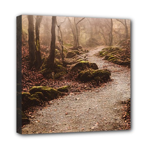 Path Trees Forest Fantasy Mini Canvas 8  x 8  (Stretched) from ArtsNow.com