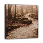 Path Trees Forest Fantasy Mini Canvas 8  x 8  (Stretched)
