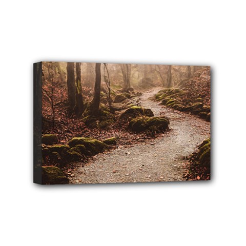 Path Trees Forest Fantasy Mini Canvas 6  x 4  (Stretched) from ArtsNow.com