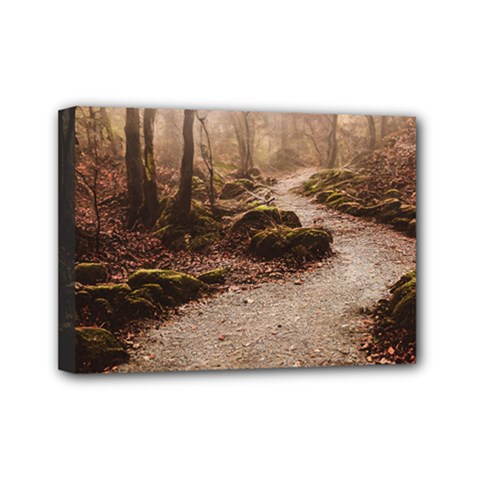 Path Trees Forest Fantasy Mini Canvas 7  x 5  (Stretched) from ArtsNow.com