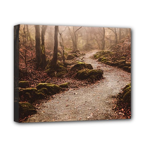 Path Trees Forest Fantasy Canvas 10  x 8  (Stretched) from ArtsNow.com