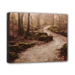 Path Trees Forest Fantasy Canvas 10  x 8  (Stretched)