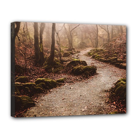 Path Trees Forest Fantasy Canvas 14  x 11  (Stretched) from ArtsNow.com