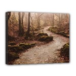 Path Trees Forest Fantasy Canvas 14  x 11  (Stretched)