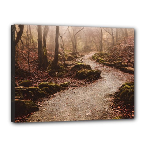 Path Trees Forest Fantasy Canvas 16  x 12  (Stretched) from ArtsNow.com