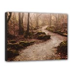 Path Trees Forest Fantasy Canvas 16  x 12  (Stretched)