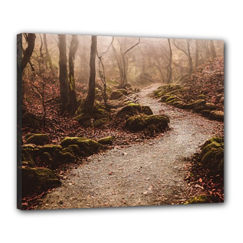Path Trees Forest Fantasy Canvas 20  x 16  (Stretched) from ArtsNow.com