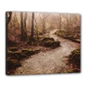 Canvas 20  x 16  (Stretched) 