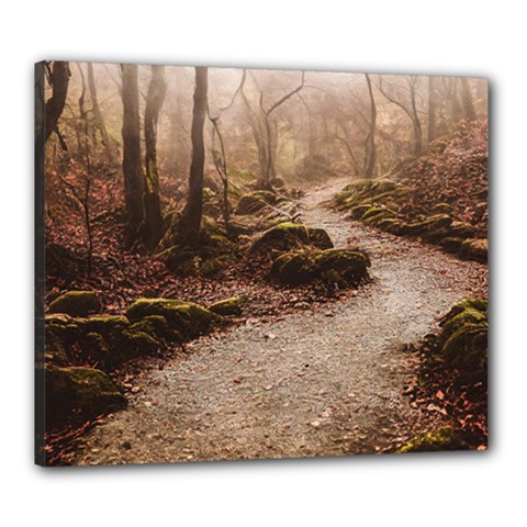 Path Trees Forest Fantasy Canvas 24  x 20  (Stretched) from ArtsNow.com
