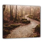 Path Trees Forest Fantasy Canvas 24  x 20  (Stretched)