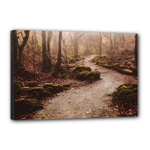 Path Trees Forest Fantasy Canvas 18  x 12  (Stretched) from ArtsNow.com