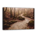 Path Trees Forest Fantasy Canvas 18  x 12  (Stretched)