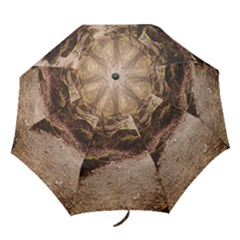 Folding Umbrella 