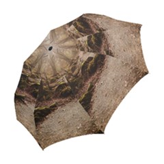 Folding Umbrella 