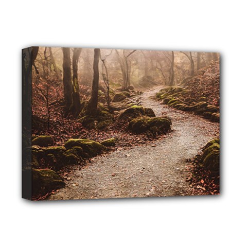Path Trees Forest Fantasy Deluxe Canvas 16  x 12  (Stretched)  from ArtsNow.com