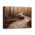 Path Trees Forest Fantasy Deluxe Canvas 16  x 12  (Stretched) 