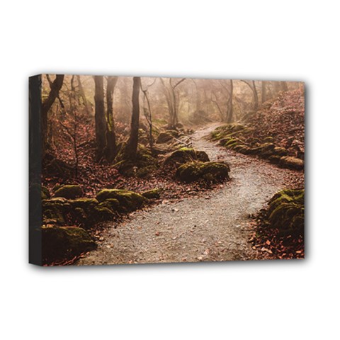 Path Trees Forest Fantasy Deluxe Canvas 18  x 12  (Stretched) from ArtsNow.com