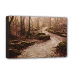 Path Trees Forest Fantasy Deluxe Canvas 18  x 12  (Stretched)
