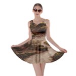 Path Trees Forest Fantasy Skater Dress