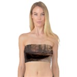 Path Trees Forest Fantasy Bandeau Top