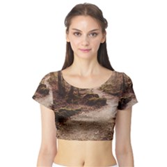 Short Sleeve Crop Top 