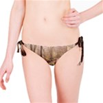 Path Trees Forest Fantasy Bikini Bottoms