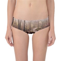 Classic Bikini Bottoms 