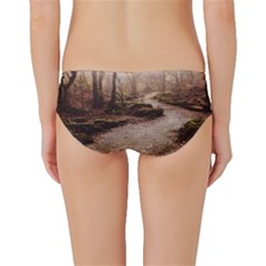 Classic Bikini Bottoms 