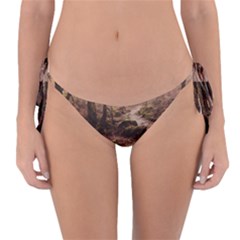 Reversible Bikini Bottoms 