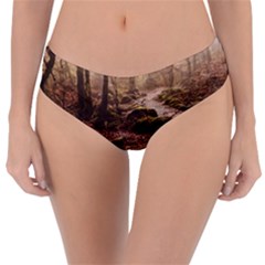 Reversible Classic Bikini Bottoms 