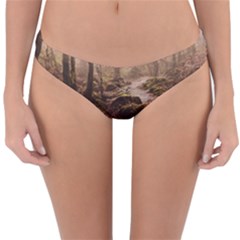 Reversible Hipster Bikini Bottoms 