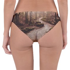 Reversible Hipster Bikini Bottoms 