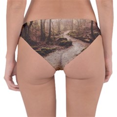 Reversible Hipster Bikini Bottoms 