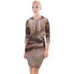 Path Trees Forest Fantasy Quarter Sleeve Hood Bodycon Dress