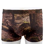 Path Trees Forest Fantasy Men s Boxer Briefs