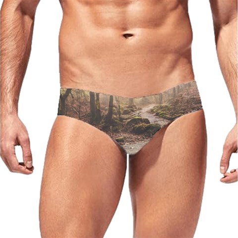 Path Trees Forest Fantasy Men s Swim Brief from ArtsNow.com