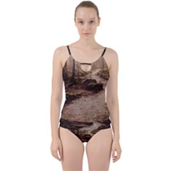Cut Out Top Tankini Set 
