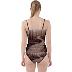 Cut Out Top Tankini Set 