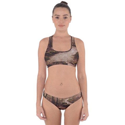 Path Trees Forest Fantasy Cross Back Hipster Bikini Set from ArtsNow.com