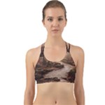 Path Trees Forest Fantasy Back Web Sports Bra