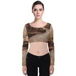 Path Trees Forest Fantasy Velvet Long Sleeve Crop Top