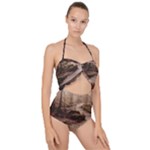 Path Trees Forest Fantasy Scallop Top Cut Out Swimsuit