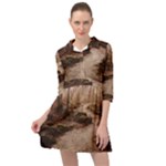 Path Trees Forest Fantasy Mini Skater Shirt Dress