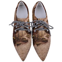 Women s Pointed Oxford Shoes 