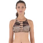 Path Trees Forest Fantasy Perfectly Cut Out Bikini Top